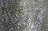 Cargo fibreglass roof work